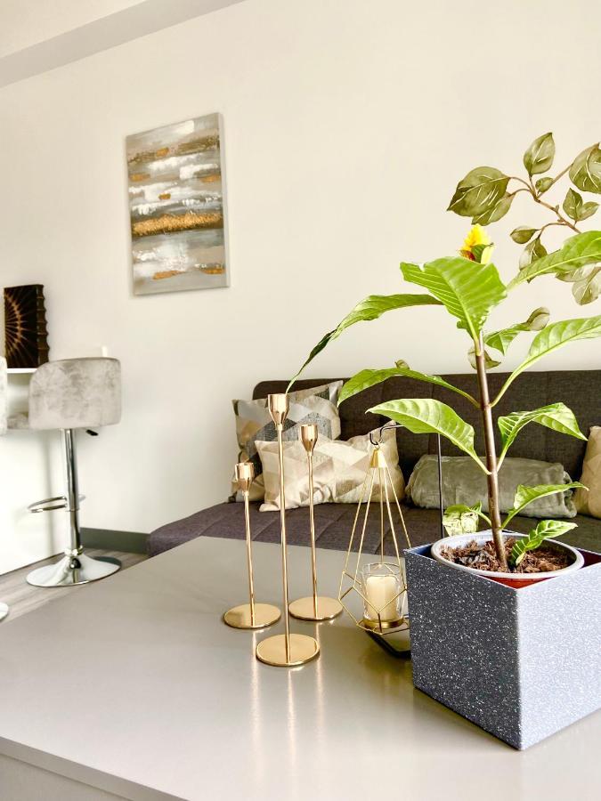 Comodo Y Elegante Apartamento En Fabuloso Condo! San José Dış mekan fotoğraf
