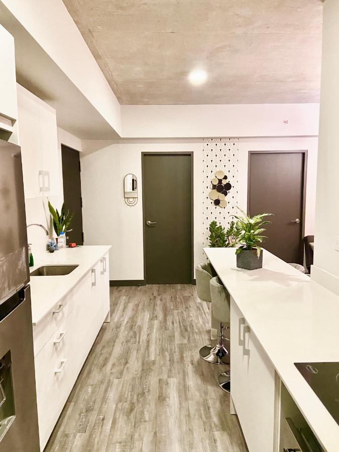 Comodo Y Elegante Apartamento En Fabuloso Condo! San José Dış mekan fotoğraf