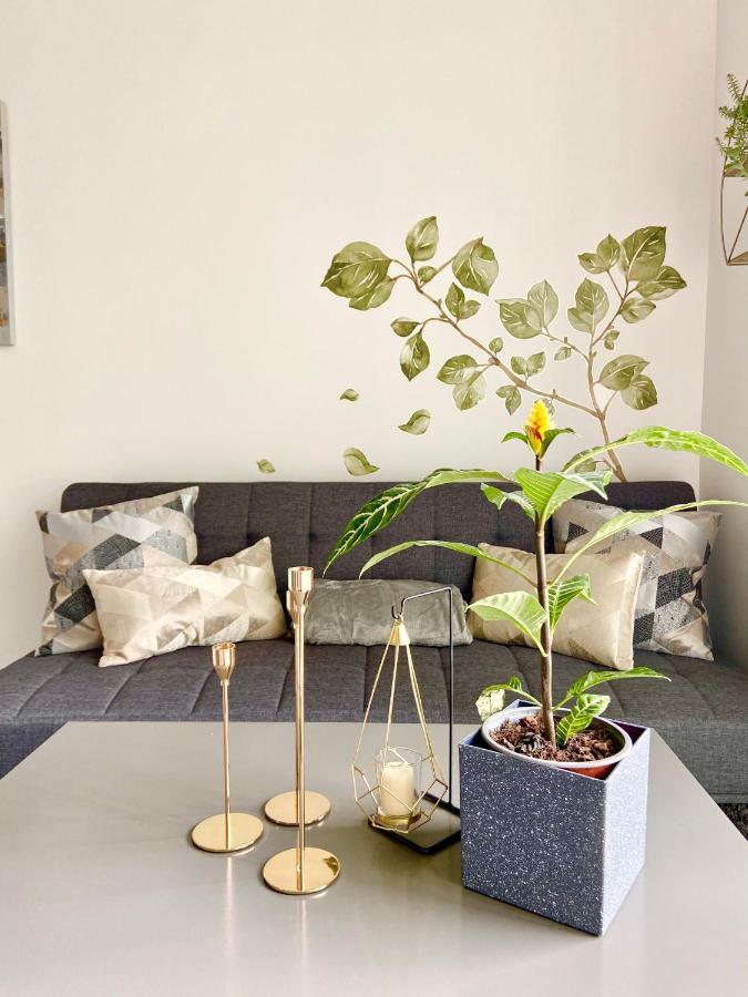 Comodo Y Elegante Apartamento En Fabuloso Condo! San José Dış mekan fotoğraf